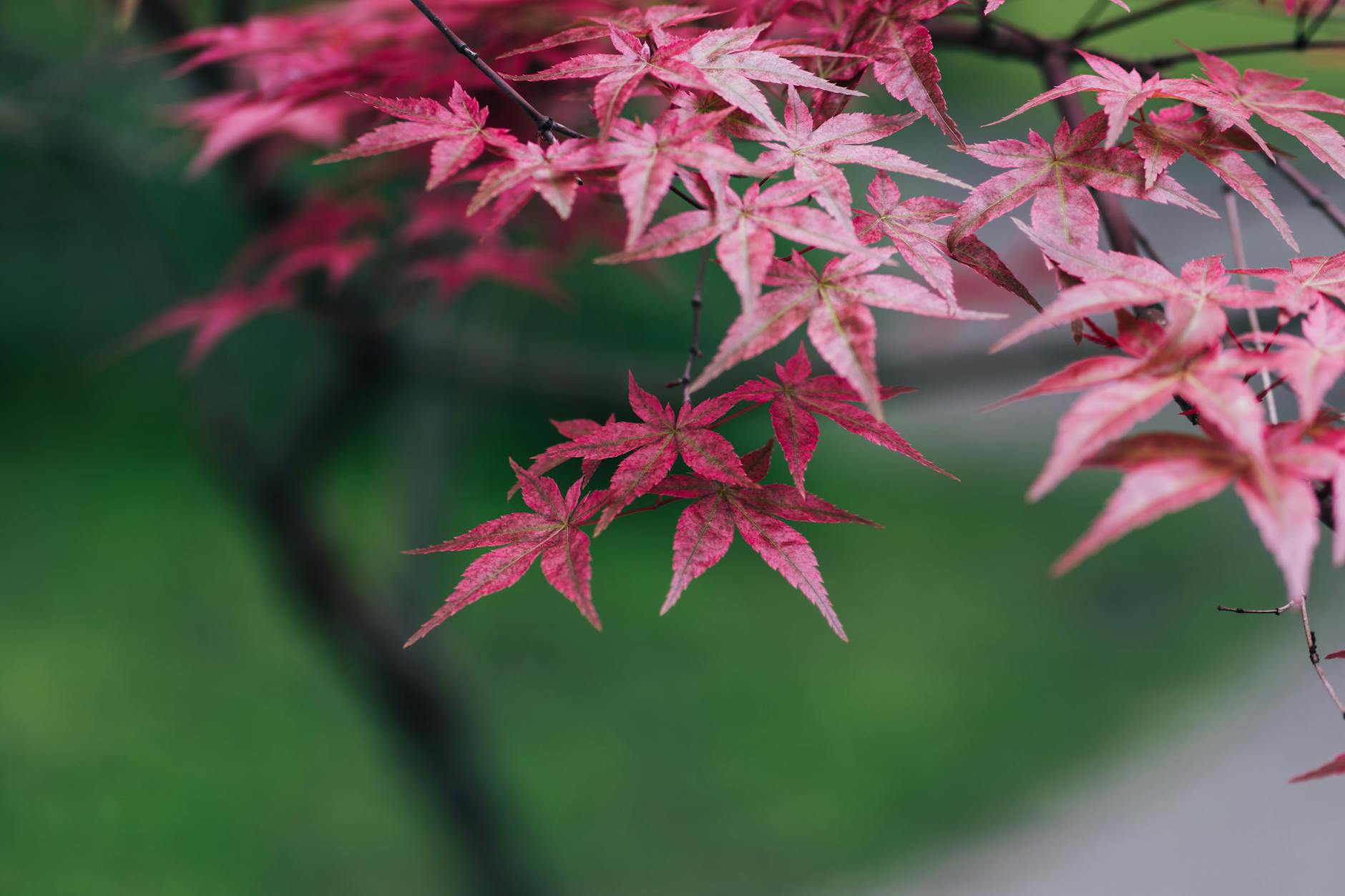 Электрик на работе