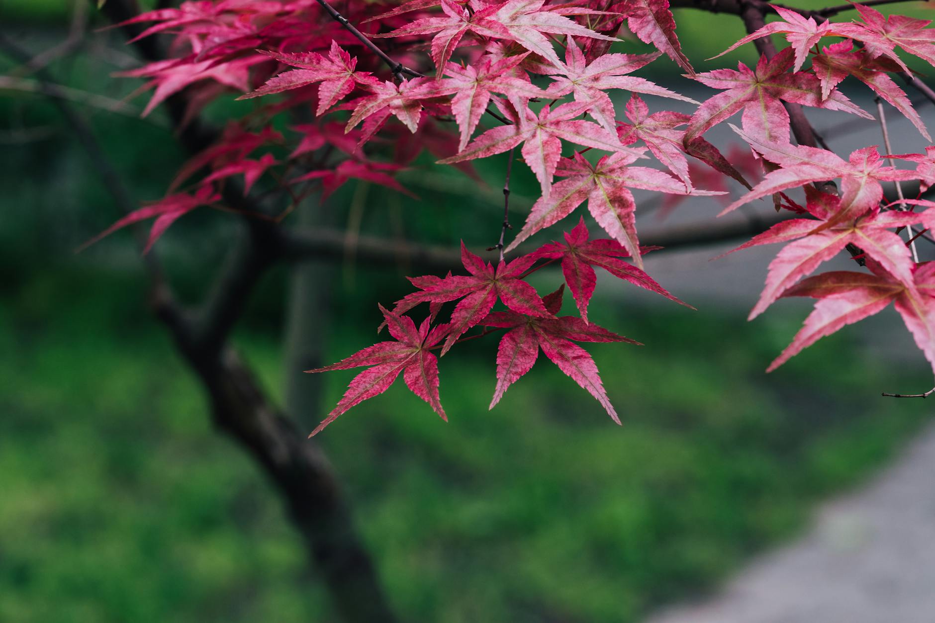 Проверка электрики