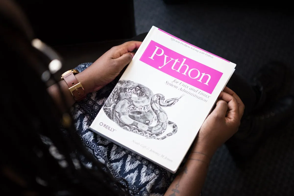 Разработка программных решений на языке Python