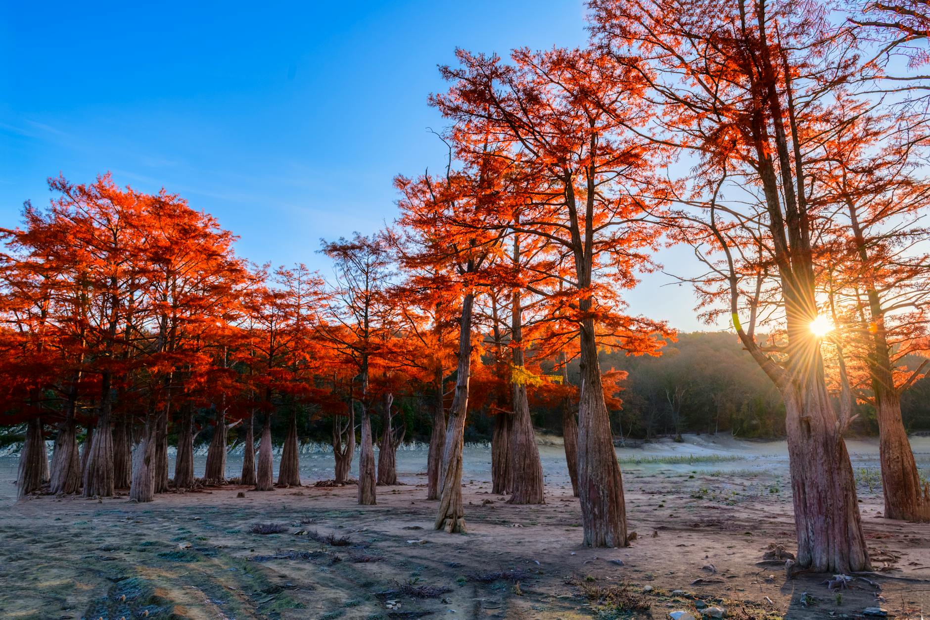 Оборудование для прочистки