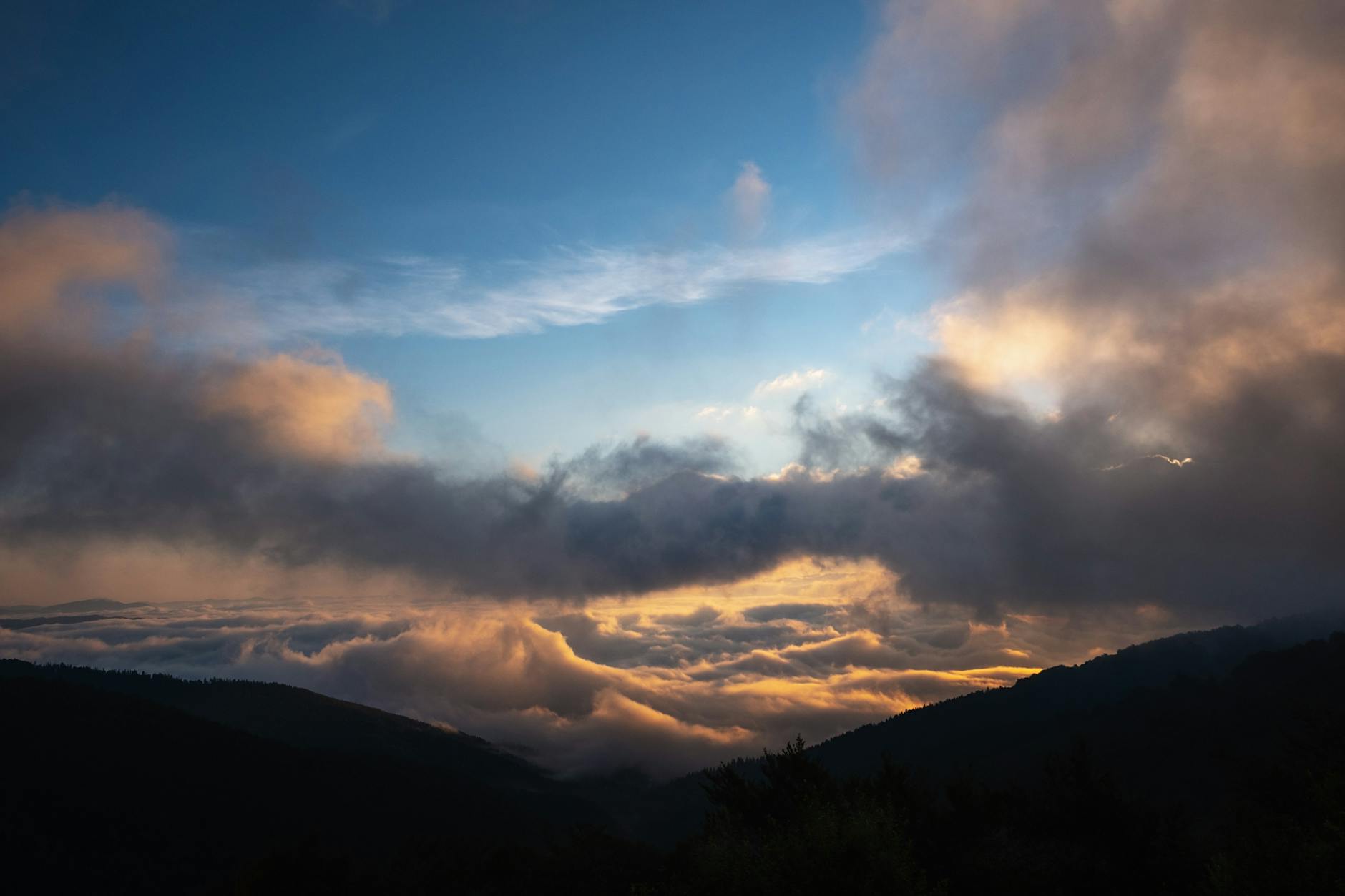 Прочистка канализации в Краснодаре