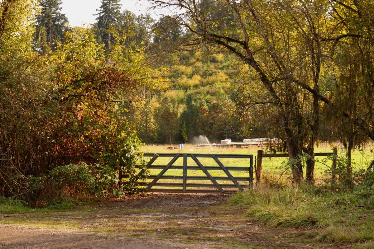 Automatic gate installation on a residential driveway with a mounted opener