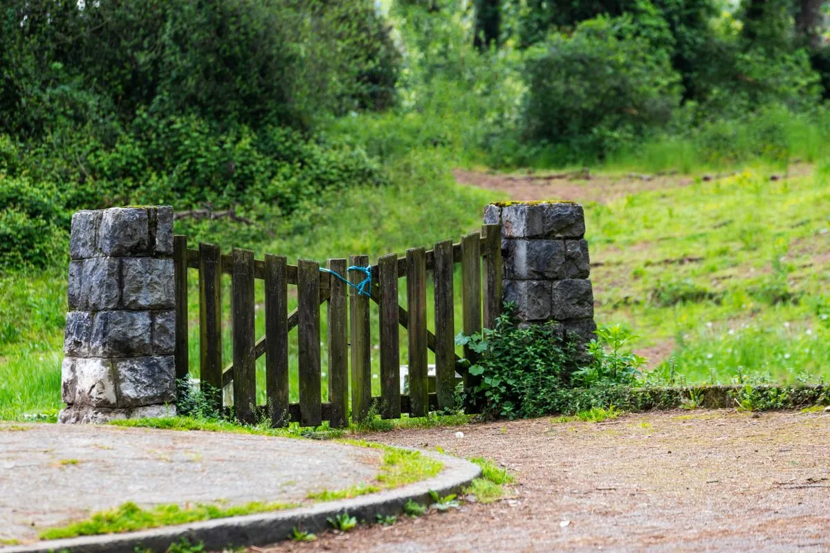Installed gate motor and safety sensors beside a suburban driveway
