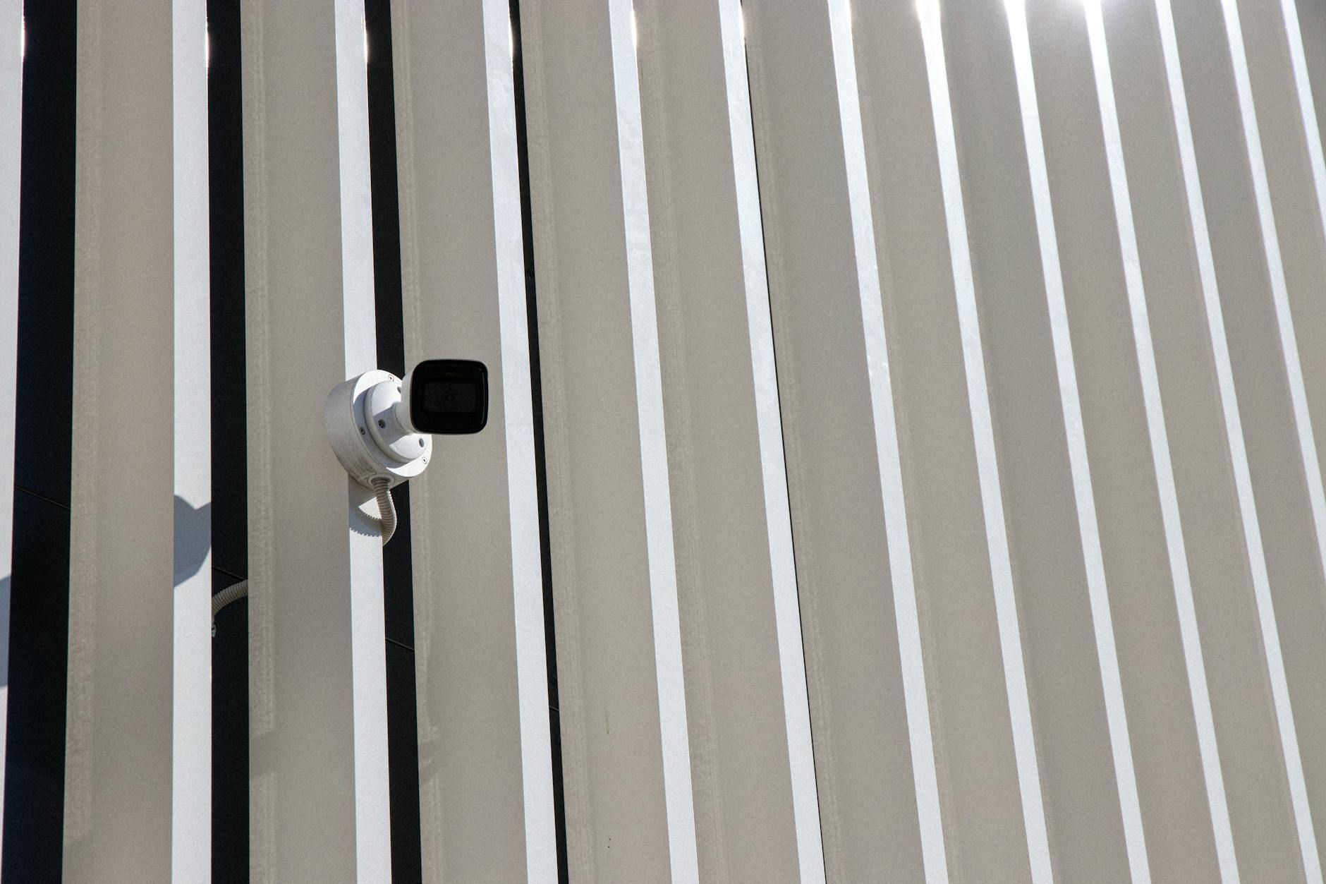 Пластиковый забор в саду