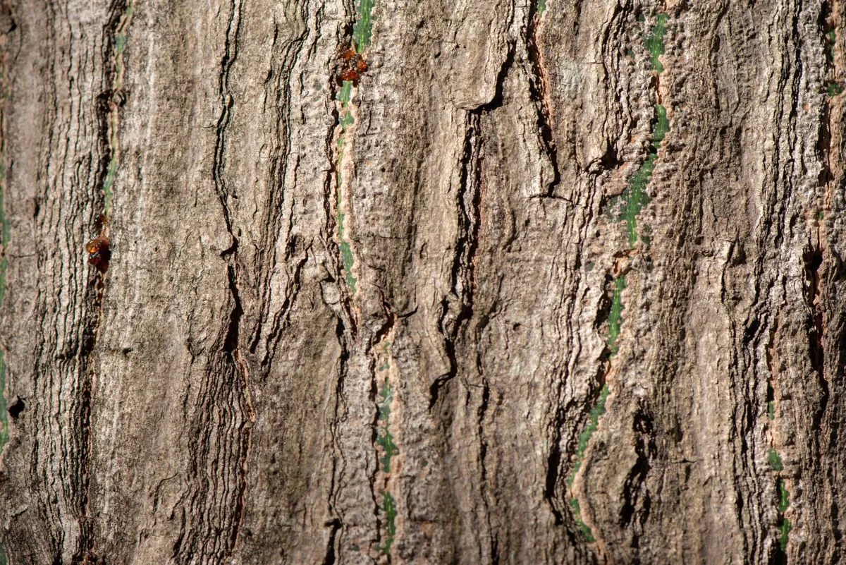 Parede com textura e grafiato na parede em acabamento moderno